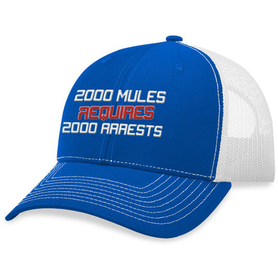 2000 Mules Requires 2000 Arrests Hat