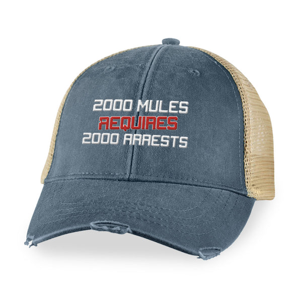 2000 Mules Requires 2000 Arrests Hat